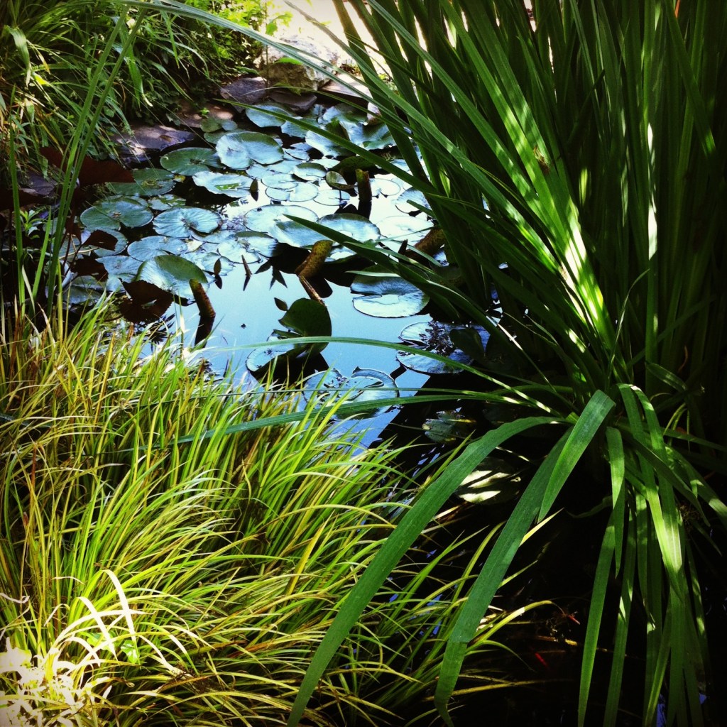 Flower Power: Green Thumb’s Open Garden&nbsp;Day